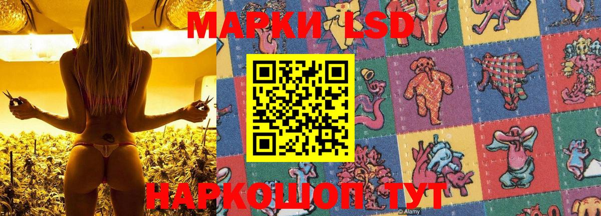 Марки 25I-NBOMe 1,5мг  Марки 25I-NBOMe 1,5мг  Наркотические марки  Шелехов  Вход с VPN 