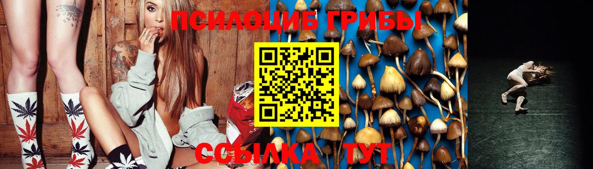 Псилоцибиновые грибы Psilocybine cubensis Шелехов